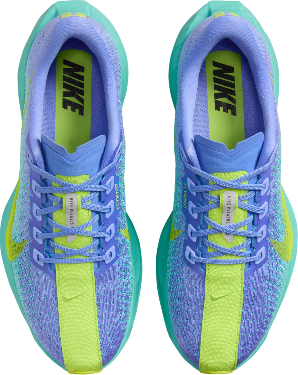 nike-pegasus-plus-841924-