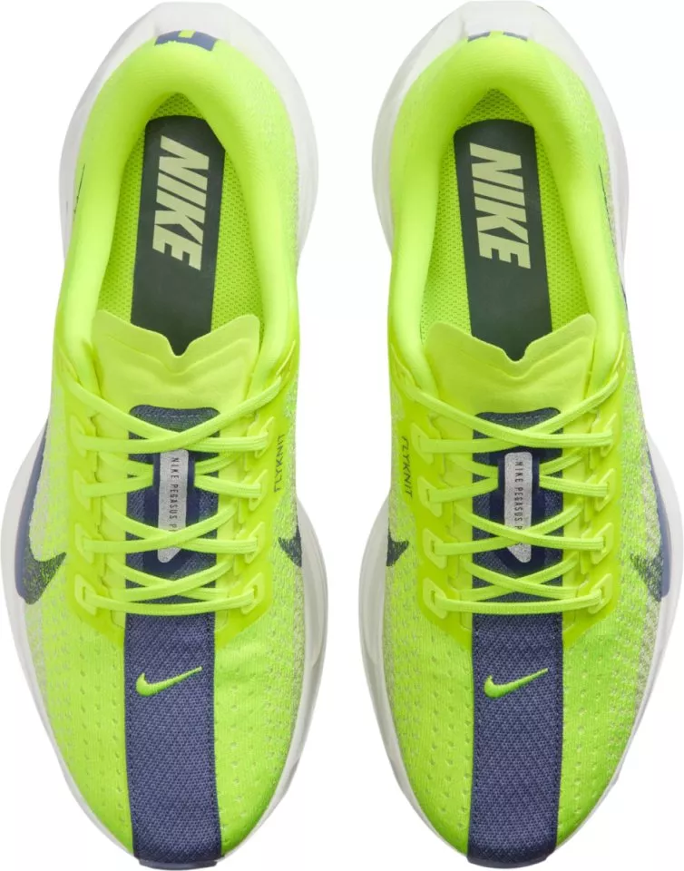 Sapatilhas de Corrida Nike Pegasus Plus