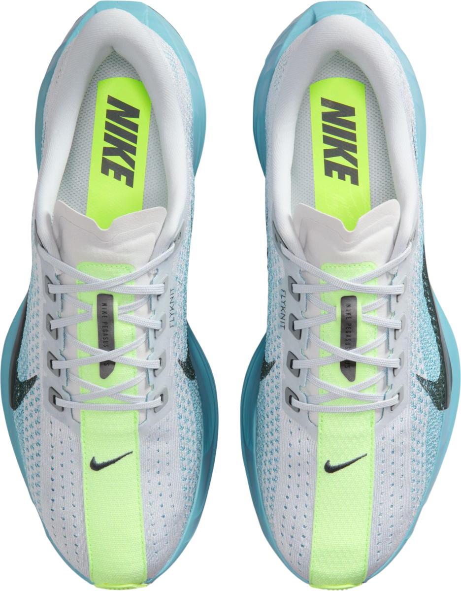 nike-pegasus-plus-1009118-