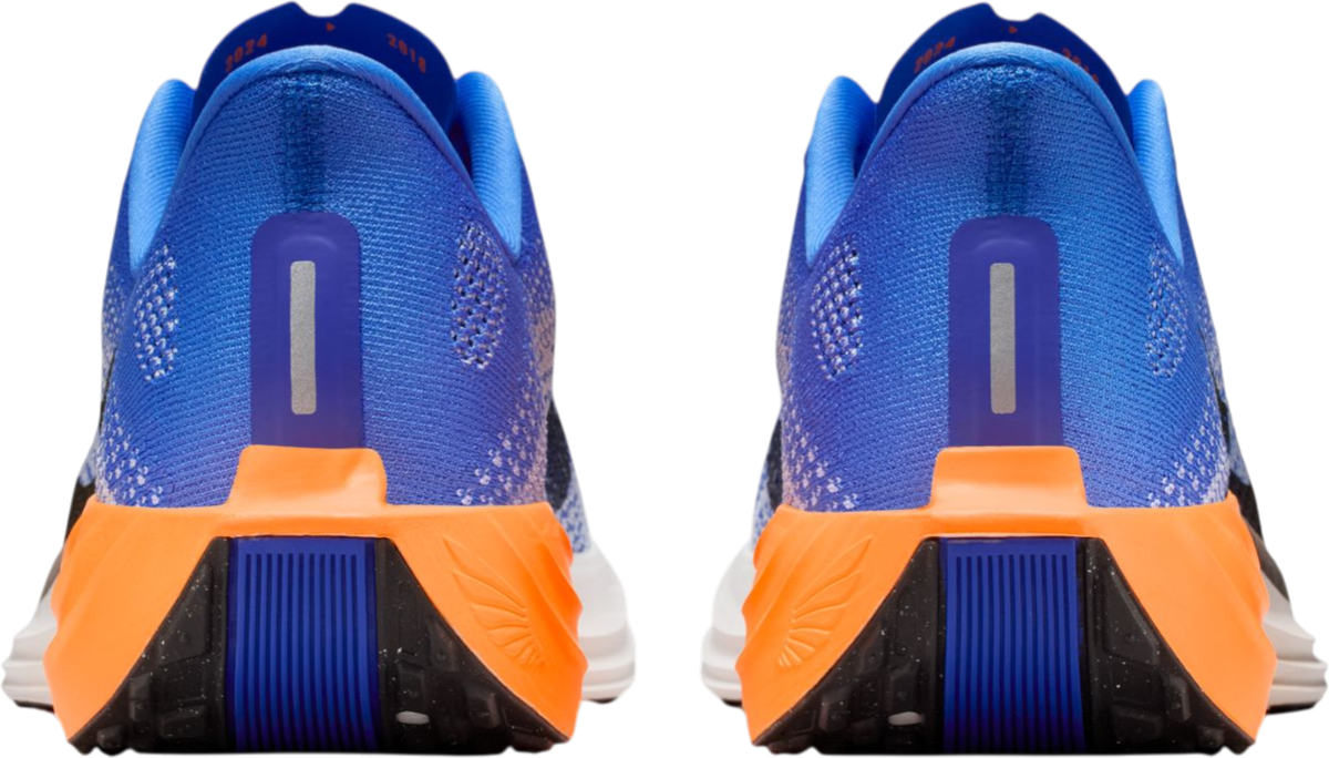 Running shoes Nike Pegasus Plus - Top4Running.com