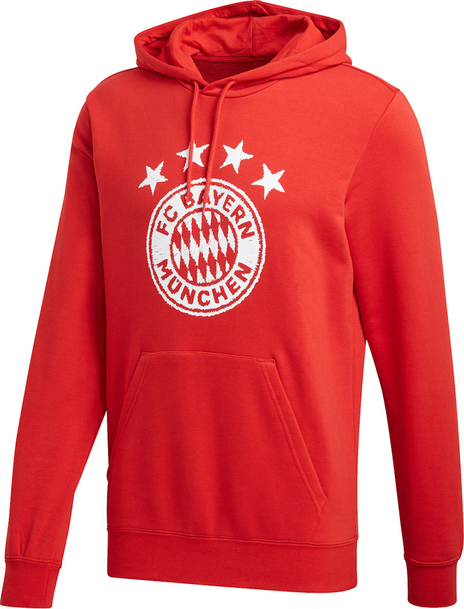 Felpe con cappuccio adidas FC Bayern DNA Graphic Hoodie