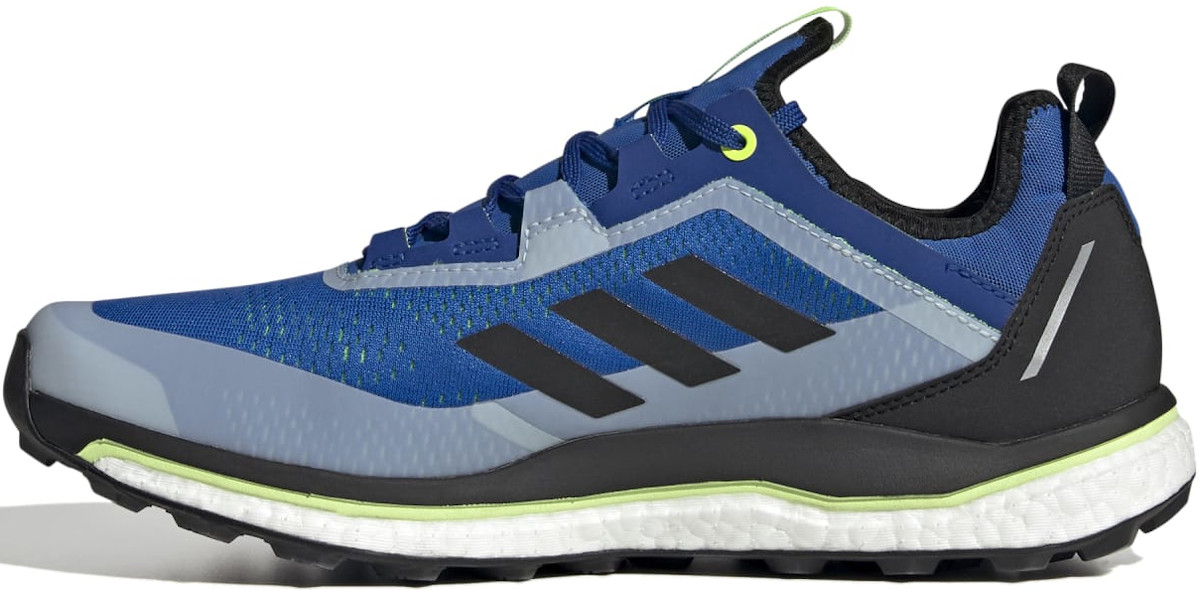 Adidas terrex on sale agravic gtx 355