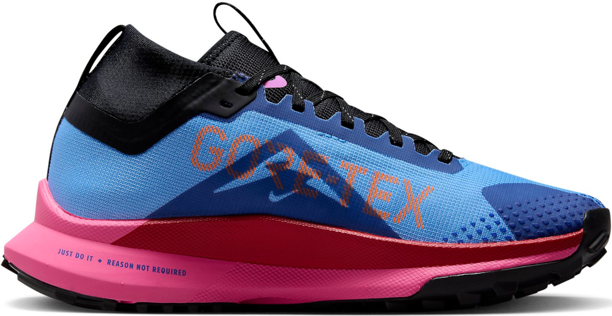 Shoes Nike Pegasus Trail 4 GORE-TEX - Top4Running.com