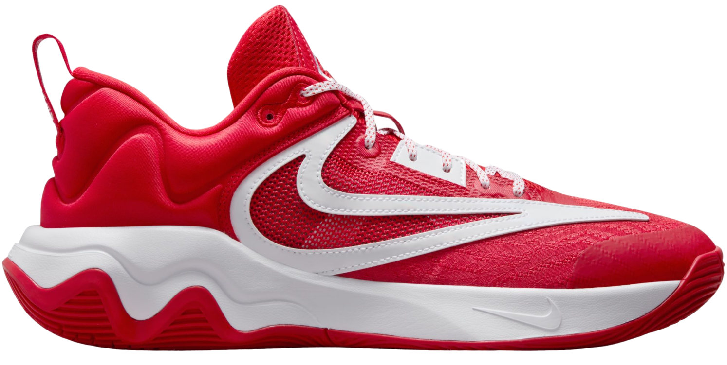 Pánská basketbalová obuv Nike Giannis Immortality 3 ASW
