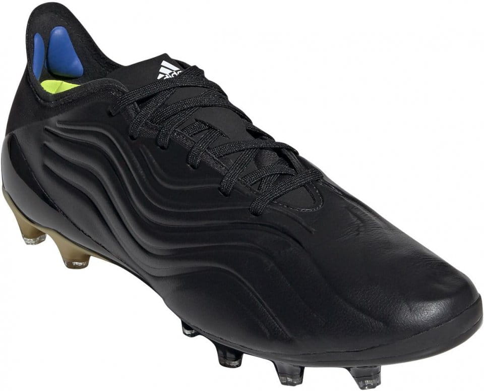 copa sense ag