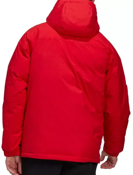 Chaqueta con capucha adidas Terrex Mountain Down