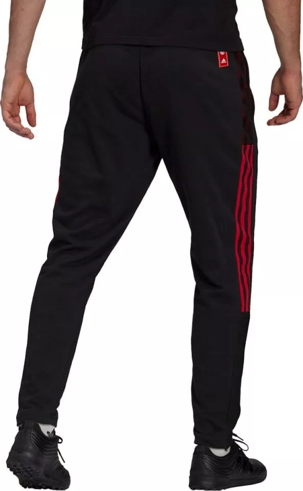 Pánské sportovní kalhoty adidas FC Bayern CNY