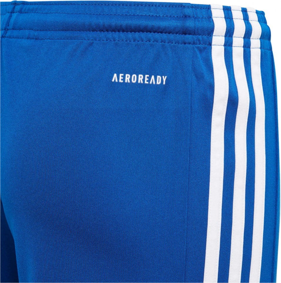 Shorts adidas SQUAD 21 SHORTS Y - Top4Football.com