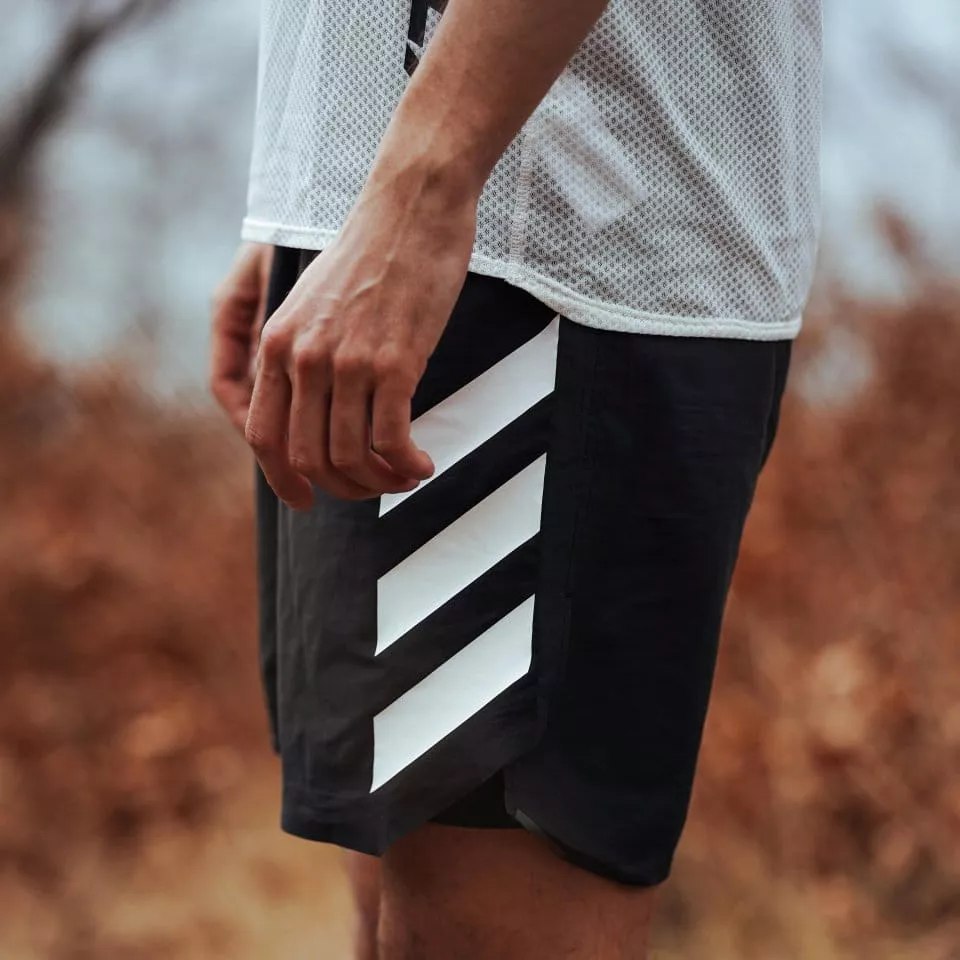 Šortky adidas Terrex AGR 2in1 Short