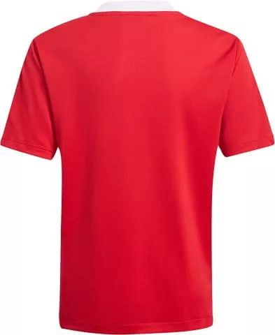 Camisa adidas TIRO21 TR JERSEYY