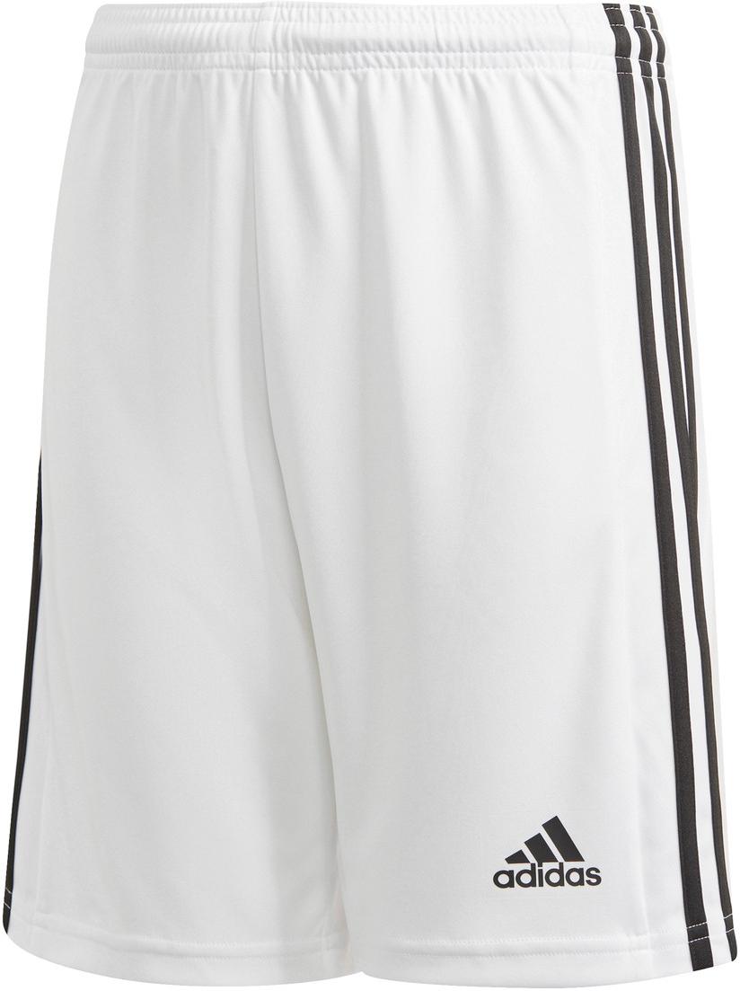 Calções adidas PANT SQUAD 21 SHO Y