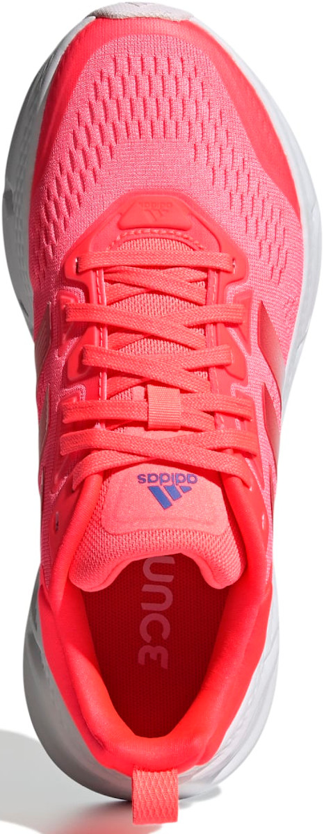 adidas gazelle silver green womens Women's Adidas, Questar 3 Running Shoe — Peltz Shoes main image 1