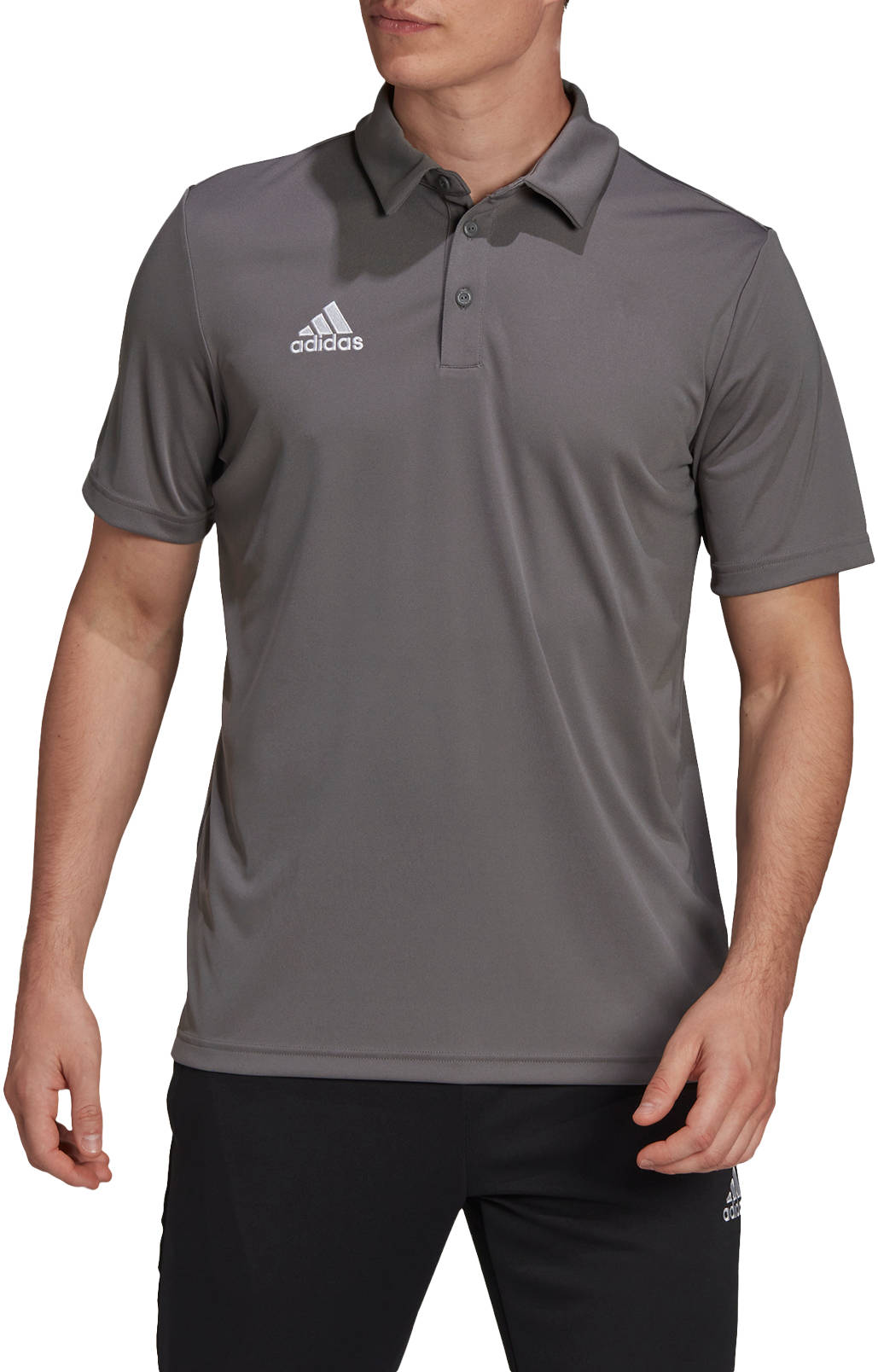 Koszula z krótkim rękawem adidas ENT22 POLO