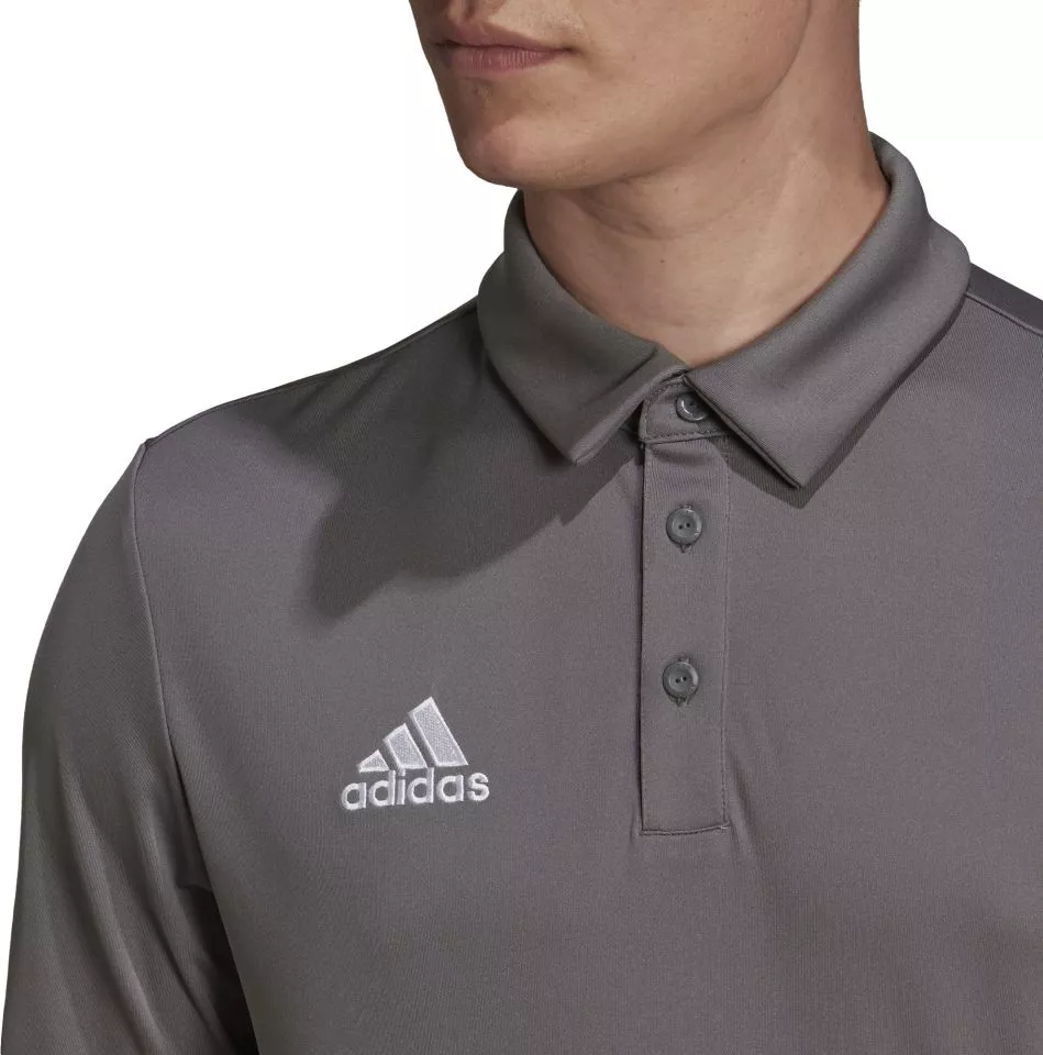 Μπλούζα Πόλο adidas ENT22 POLO