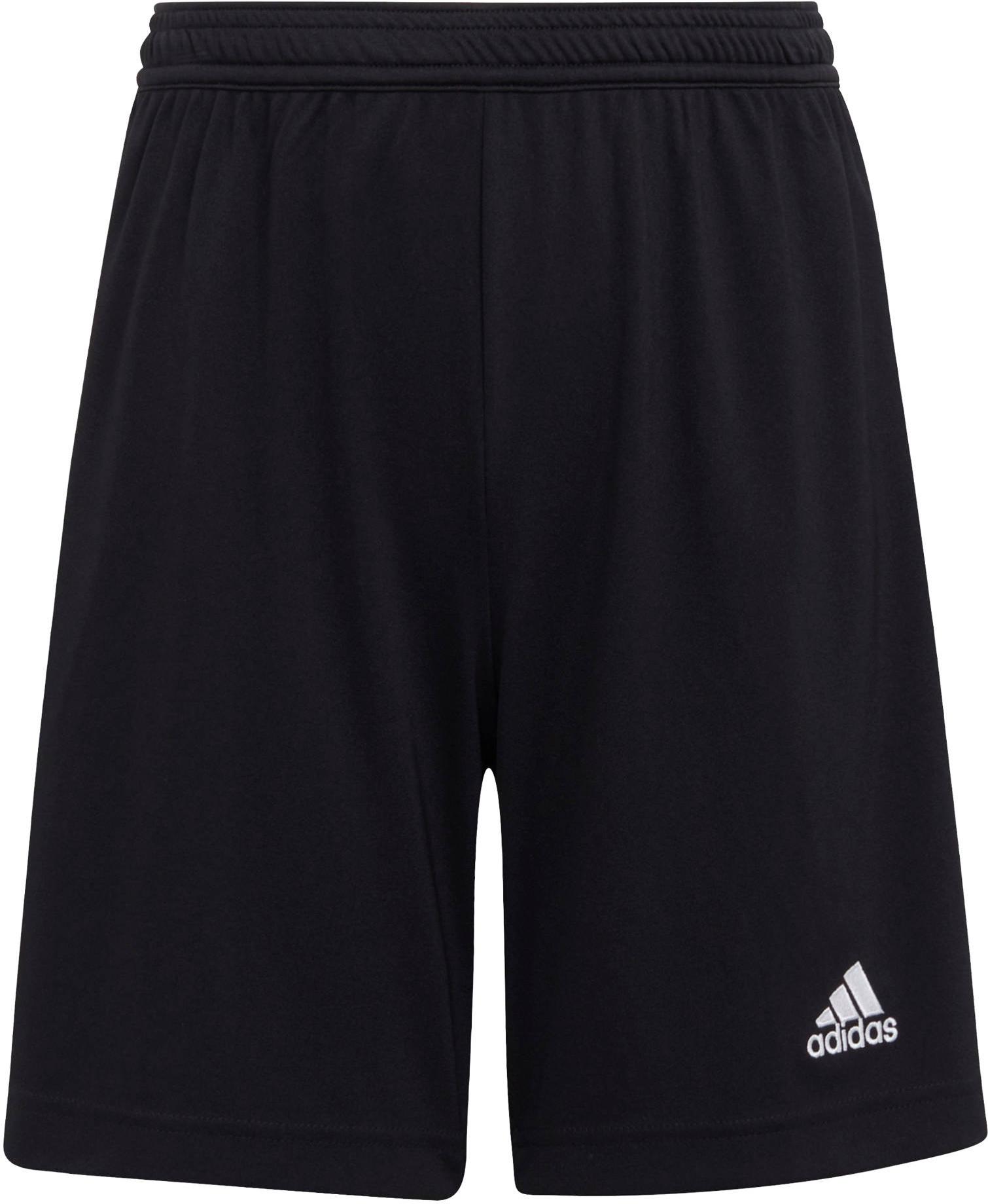 Pantalón corto adidas ENT22 SHO Y