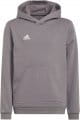 adidas ent22 hoody y 419178 h57516 120