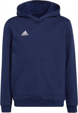 adidas ent22 hoody y 423378 h57518 480