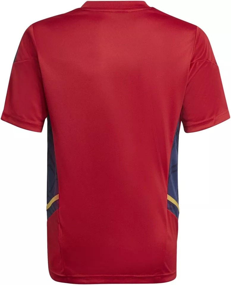 Camisa adidas AJAX TR JSY Y