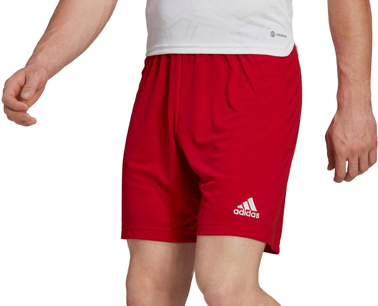 Shorts adidas ENT22 SHO