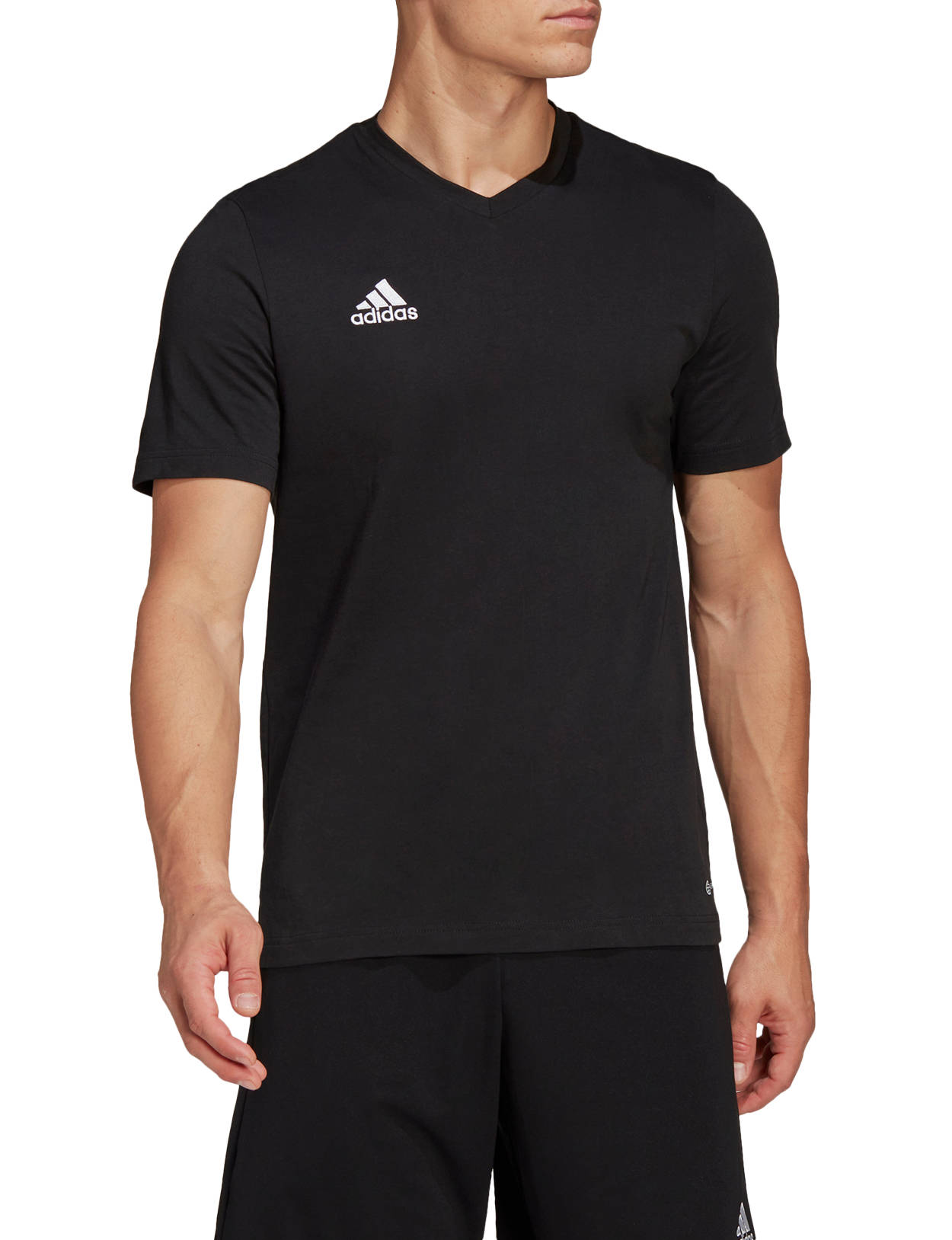 adidas ENT22 TEE Rövid ujjú póló