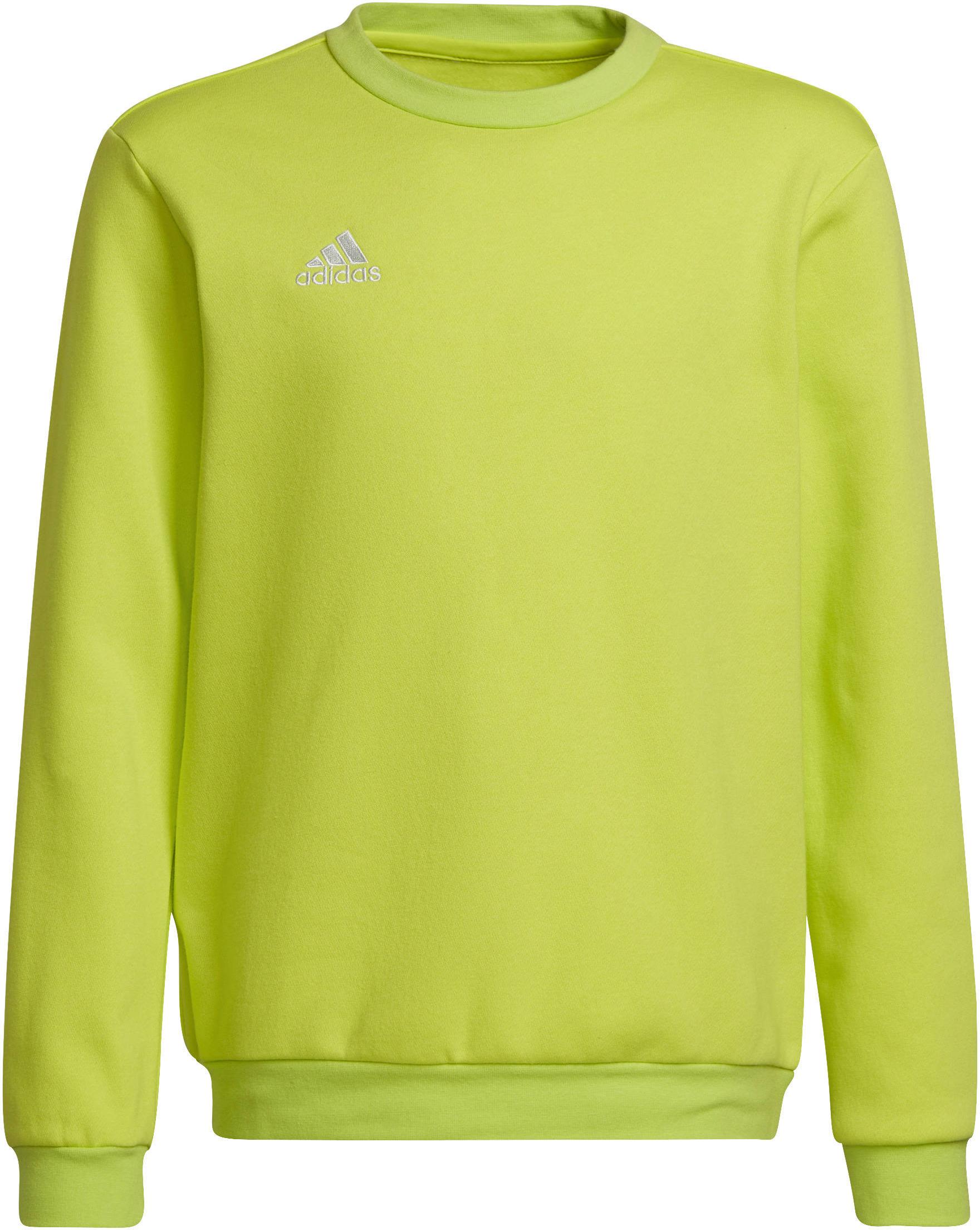 Collegepaidat adidas ENT22 SW TOPY