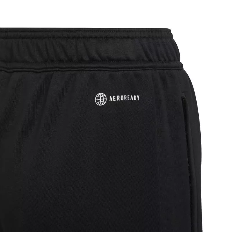 Pantalón adidas CON22 TR PNT