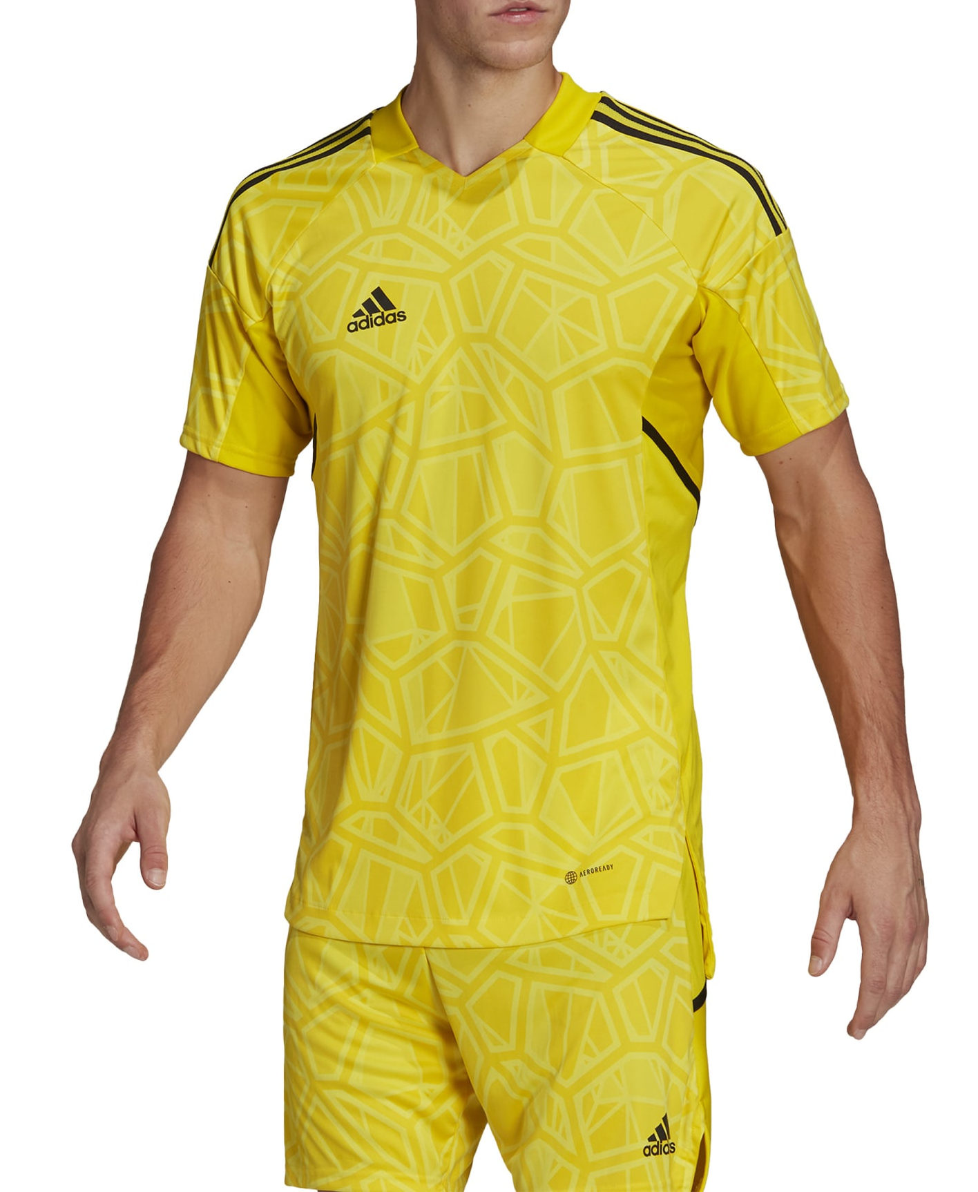 Pánský brankářský dres s krátkým rukávem adidas Condivo 22