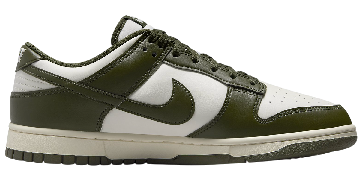 nike-dunk-low-retro-sneaker-