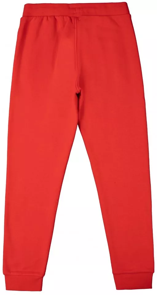 Pants adidas Originals Pantalon Adicolor Essentials