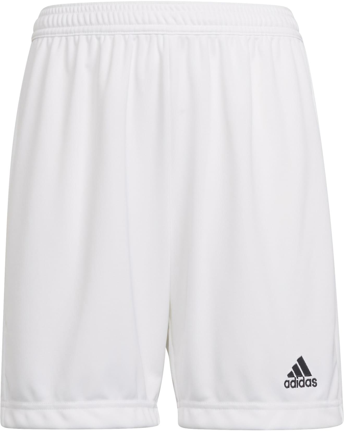 Pantalón corto adidas ENT22 SHO Y