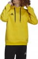 adidas ent22 hoody 422091 hi2140 120