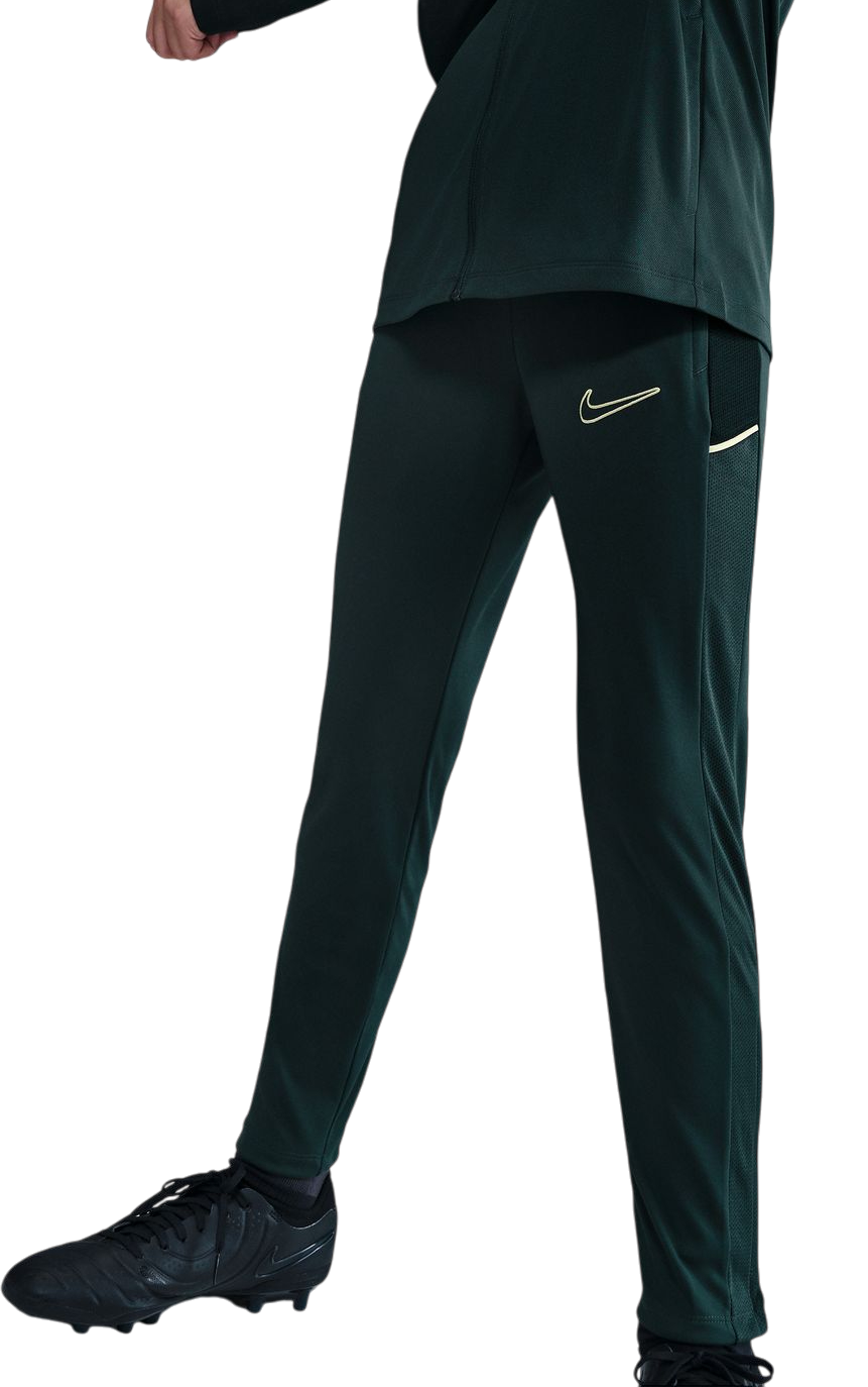 nike dry training pants