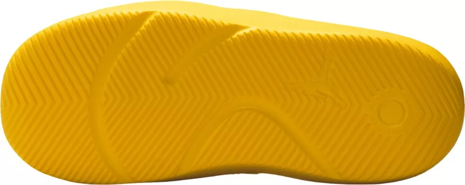 Papuci Jordan Franchise Q54 Slippers