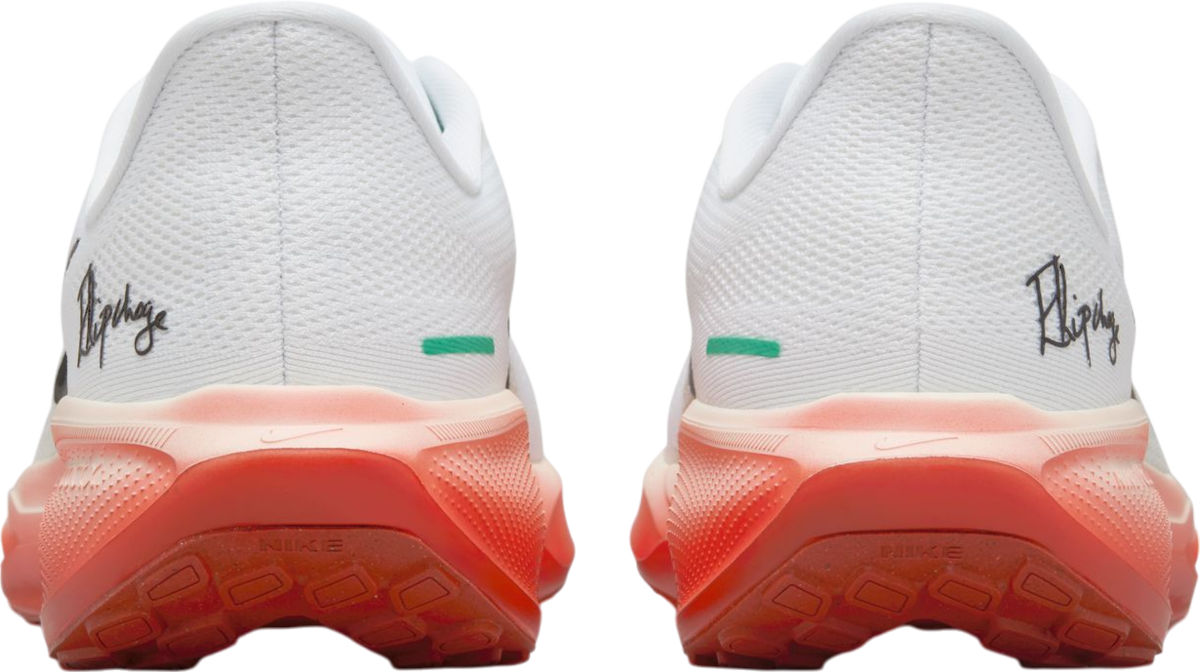Running shoes Nike Pegasus 41 Eliud Kipchoge - Top4Running.com
