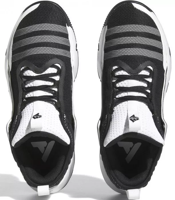 Basketbalové topánky adidas TRAE UNLIMITED