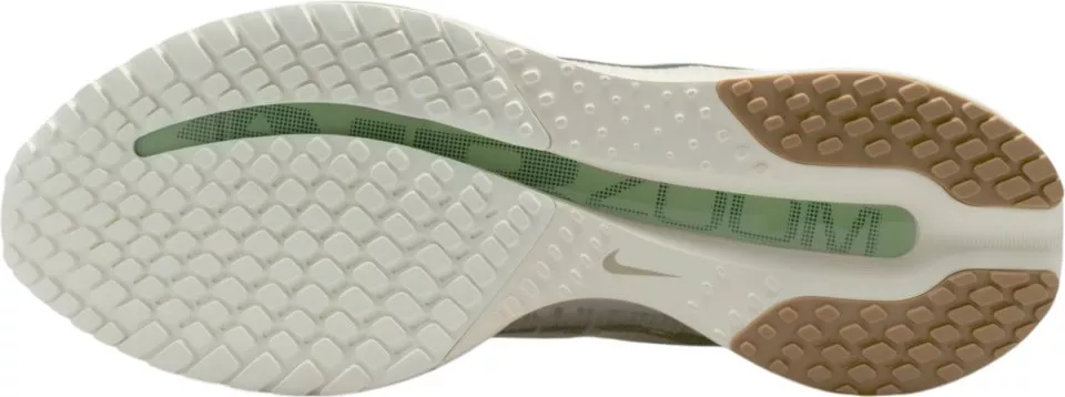 Pantofi de alergare Nike Pegasus Premium