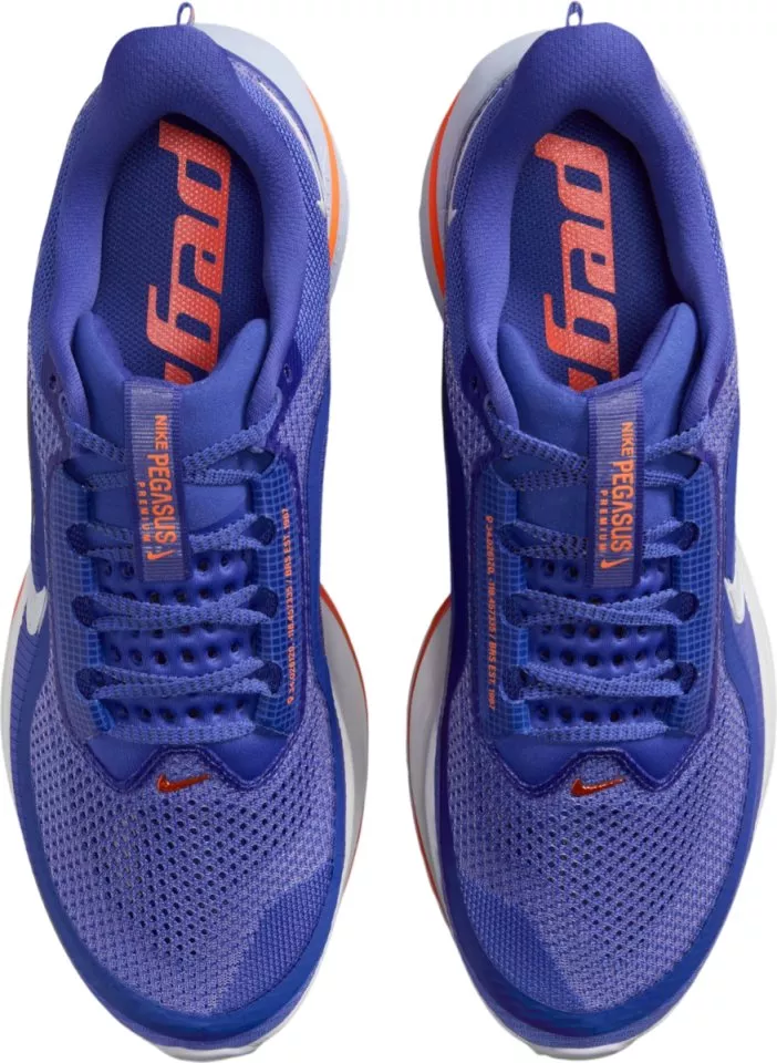Laufschuhe Nike Pegasus Premium