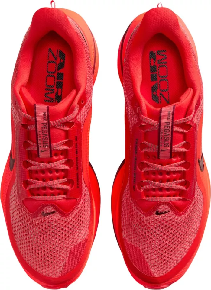 Hardloopschoen Nike Pegasus Premium