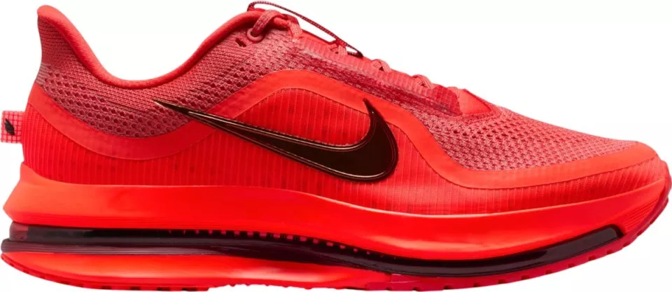 Hardloopschoen Nike Pegasus Premium