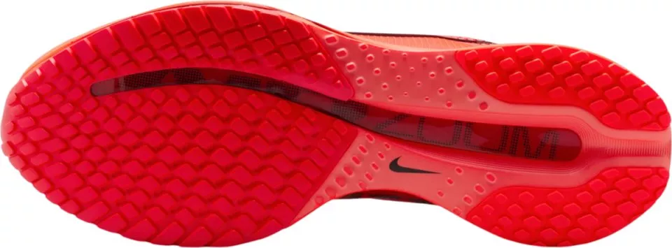 Hardloopschoen Nike Pegasus Premium