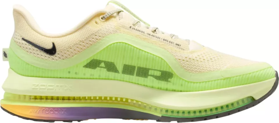 Hardloopschoen Nike Pegasus Premium