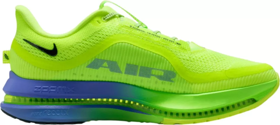 Laufschuhe Nike Pegasus Premium