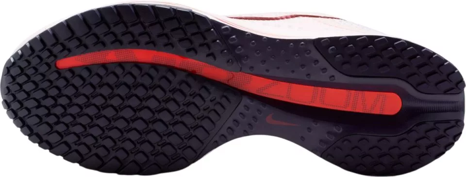 Laufschuhe Nike Pegasus Premium