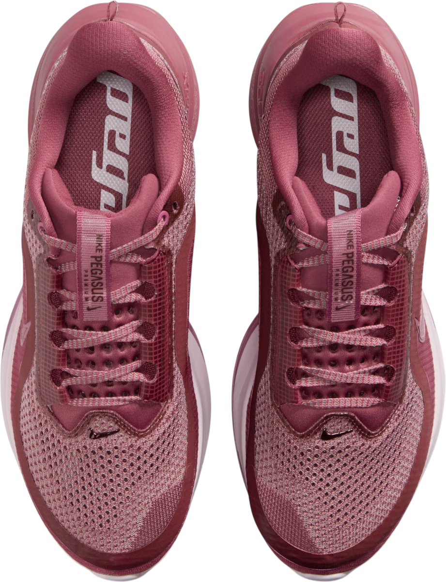 Running shoes Nike Pegasus Premium - Top4Running.com