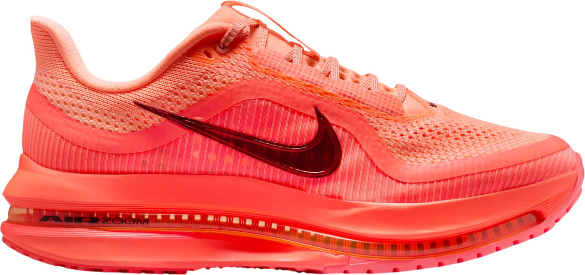 Running shoes Nike Pegasus Premium - Top4Running.com