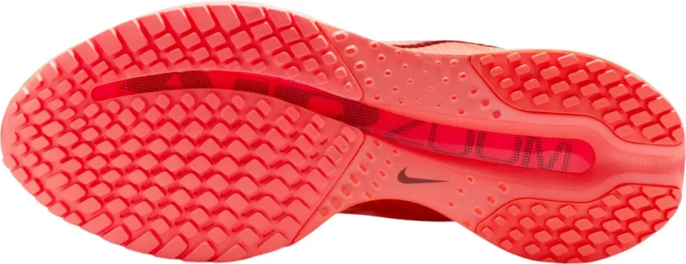 Tekaški copati Nike Pegasus Premium