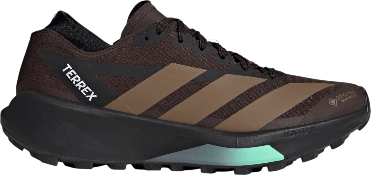 Adidas Terrex Agravic GTX 2 — Marron