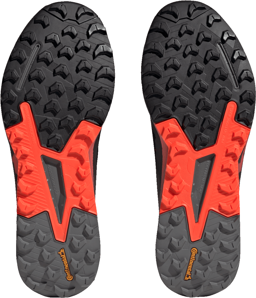 Trail shoes adidas TERREX AGRAVIC FLOW 2 GTX