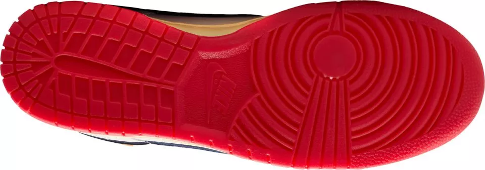 Παπούτσια Nike Dunk Low Retro SE