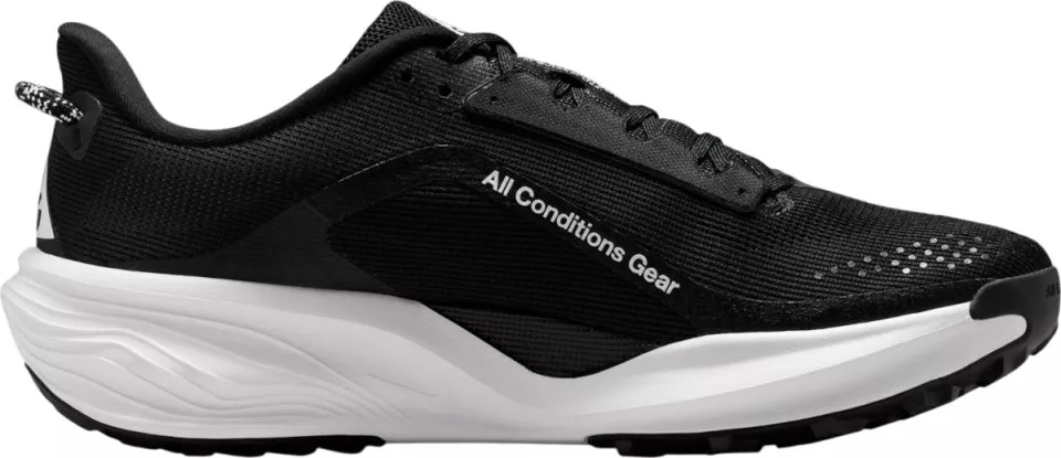 shoes Nike ACG Pegasus Trail